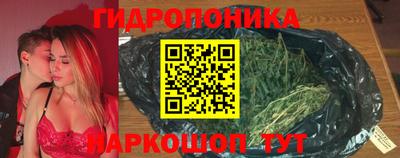 СК Брянск