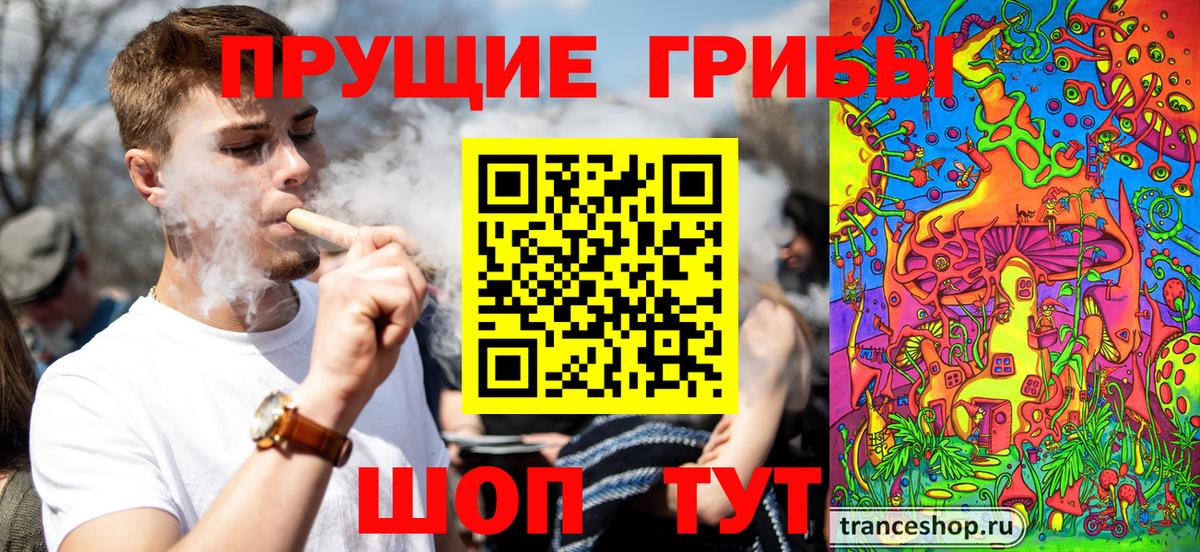 Галлюциногенные грибы ЛСД  сколько стоит  Заводоуковск  Вход с VPN 